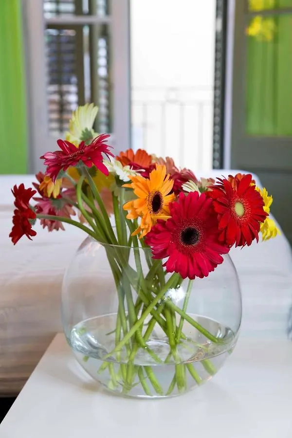 Central And Basic Universitat For Young Hostel Barcelona Spain